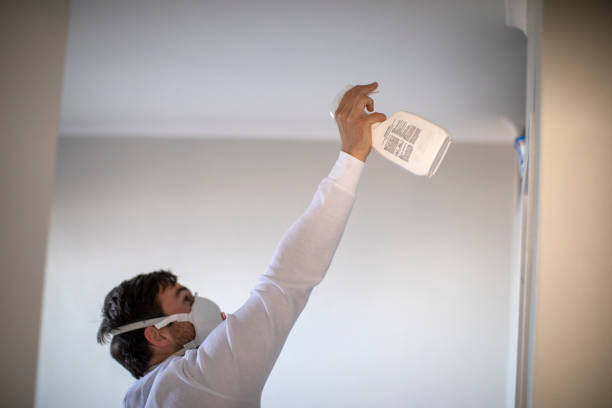 Professional Mold Remediation in Dublin, VA
